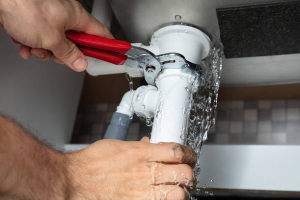 Best Carpet water damage restoration  in Montgomery, WV