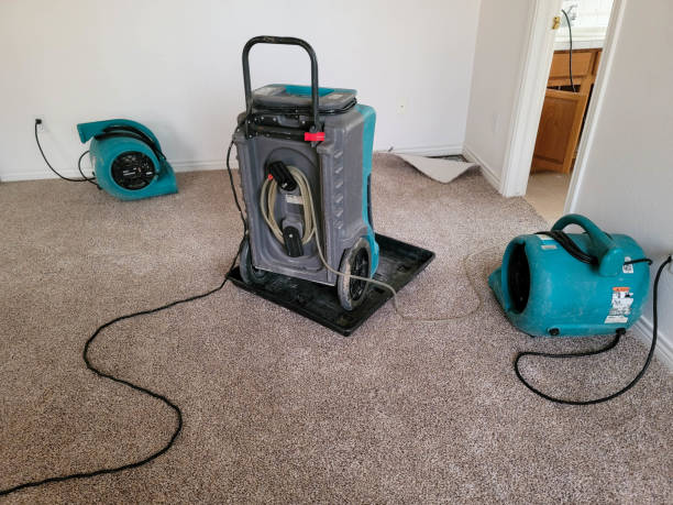 Best Flood restoration services  in Montgomery, WV