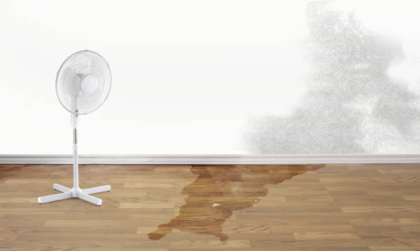Carpet water damage restoration in WV
