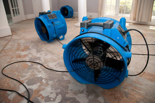 Best Water damage restoration near me  in Montgomery, WV